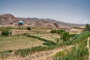 Image showing Crops in Iran