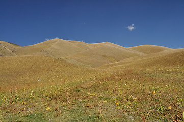 Image showing Ala Archa in Kyrgyzstan