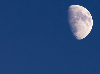 Image showing Summer moon