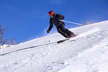 Image showing Skier with a mask on face