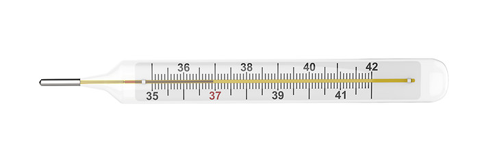Image showing Medical thermometer