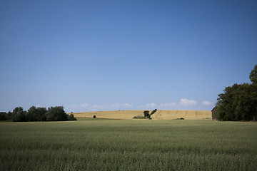 Image showing farming country