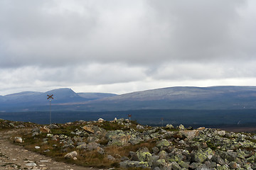 Image showing rare mountain