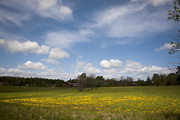 Image showing rural landscape