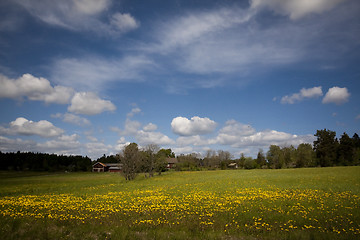 Image showing swedish countryside