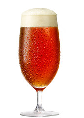 Image showing glass of beer