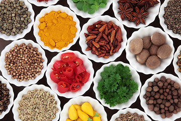 Image showing Herb and Spice Ingredients