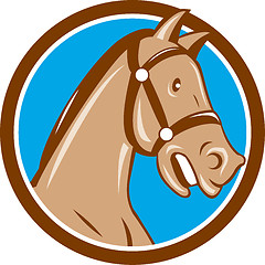 Image showing Horse Head Bridle Circle Cartoon