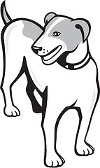 Image showing Jack Russell Terrier Standing Cartoon