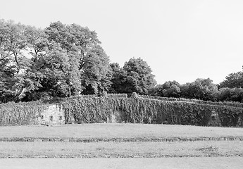 Image showing  Palaisgarten 