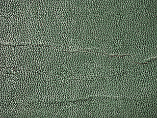 Image showing Green leatherette background