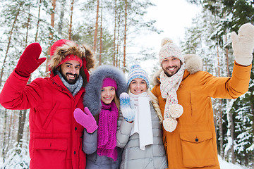 Image showing group of friends waving hands in winter forest