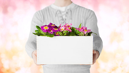 Image showing close up of man holding big pot with flowers