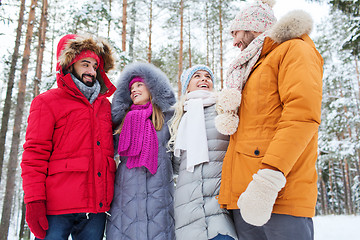 Image showing group of smiling men and women in winter forest