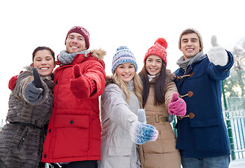 Image showing group of smiling men and women in winter forest