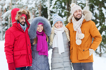 Image showing group of smiling men and women in winter forest