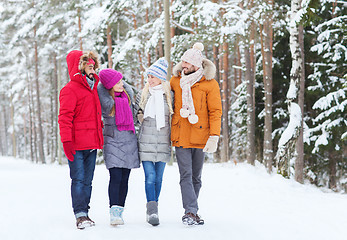 Image showing group of smiling men and women in winter forest