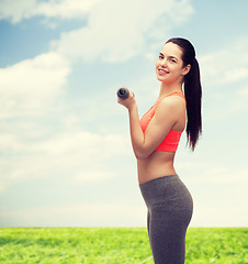 Image showing young sporty woman with light dumbbells