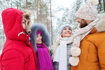 Image showing group of smiling men and women in winter forest