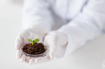 Image showing close up of scientist hands with plant and soil