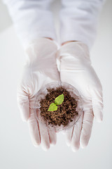 Image showing close up of scientist hands with plant and soil 