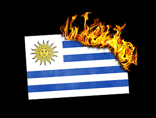 Image showing Flag burning - Uruguay