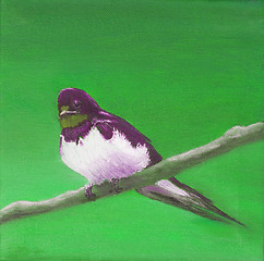 Image showing Painting, adult swallow 