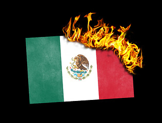 Image showing Flag burning - Mexico