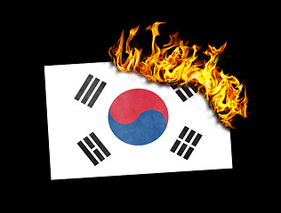 Image showing Flag burning - South Korea