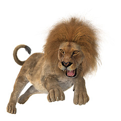 Image showing Hunting Lion