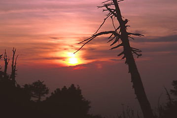 Image showing Deadly sunset