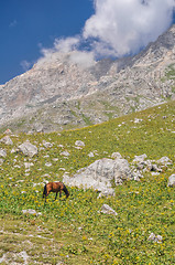 Image showing Kyrgyzstan