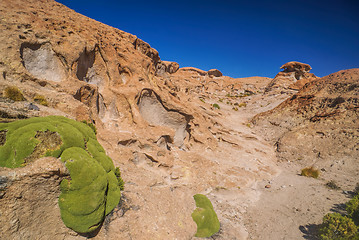 Image showing Volcanic rocks