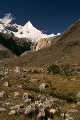 Image showing Alpamayo