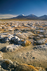 Image showing Sajama