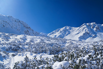 Image showing Idyllic winter