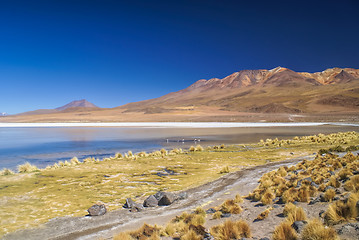 Image showing bolivian desert