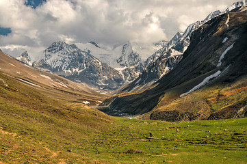 Image showing Valley in Himalayas