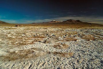 Image showing Sajama