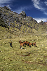 Image showing Peruvian Andes