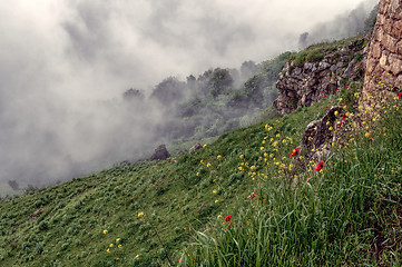 Image showing Fog