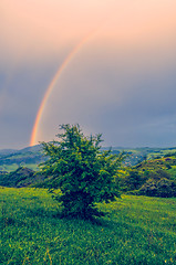 Image showing Karabakh