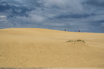 Image showing Sand dunes