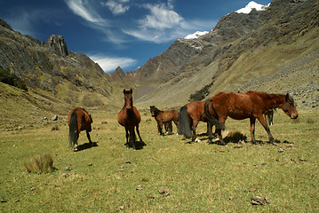 Image showing Peruvian Andes