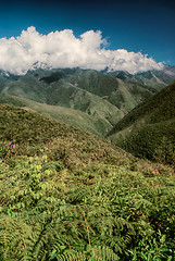 Image showing Valley in Andes