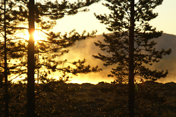 Image showing Sunlit fog