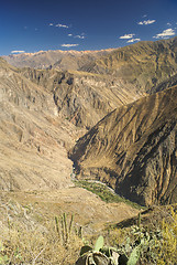 Image showing Canon del Colca