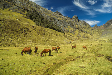 Image showing Peruvian Andes