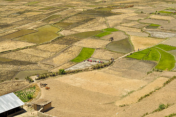 Image showing Fields in Nepal