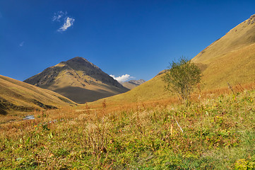 Image showing Ala Archa in Kyrgyzstan